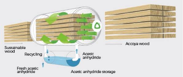 Processo di acetilizzazione del legno di Accoya